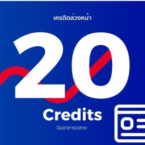 20 โควตาเครดิตบริการ